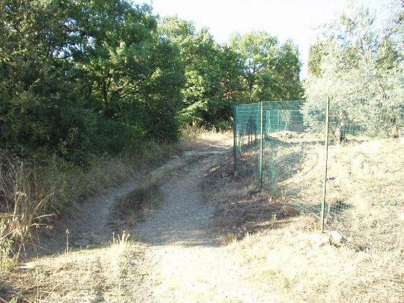 C25 Sterrato.JPG - STRADA STERRATA